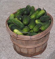 pickles in a basket